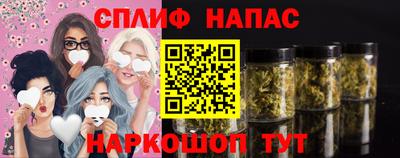 прущие крисы Будённовск