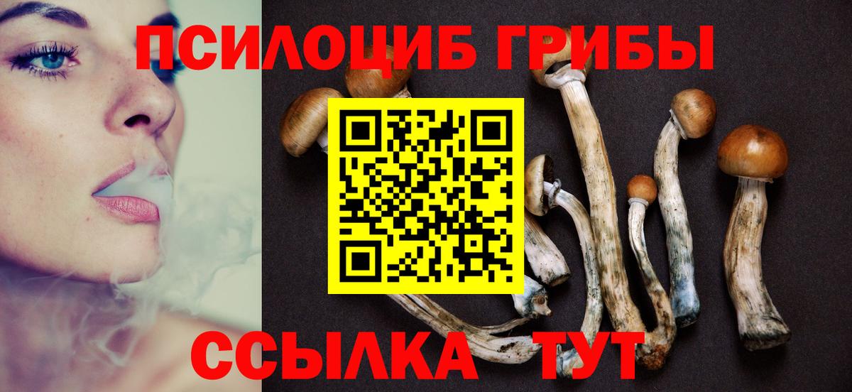 Псилоцибиновые грибы GOLDEN TEACHER Электросталь