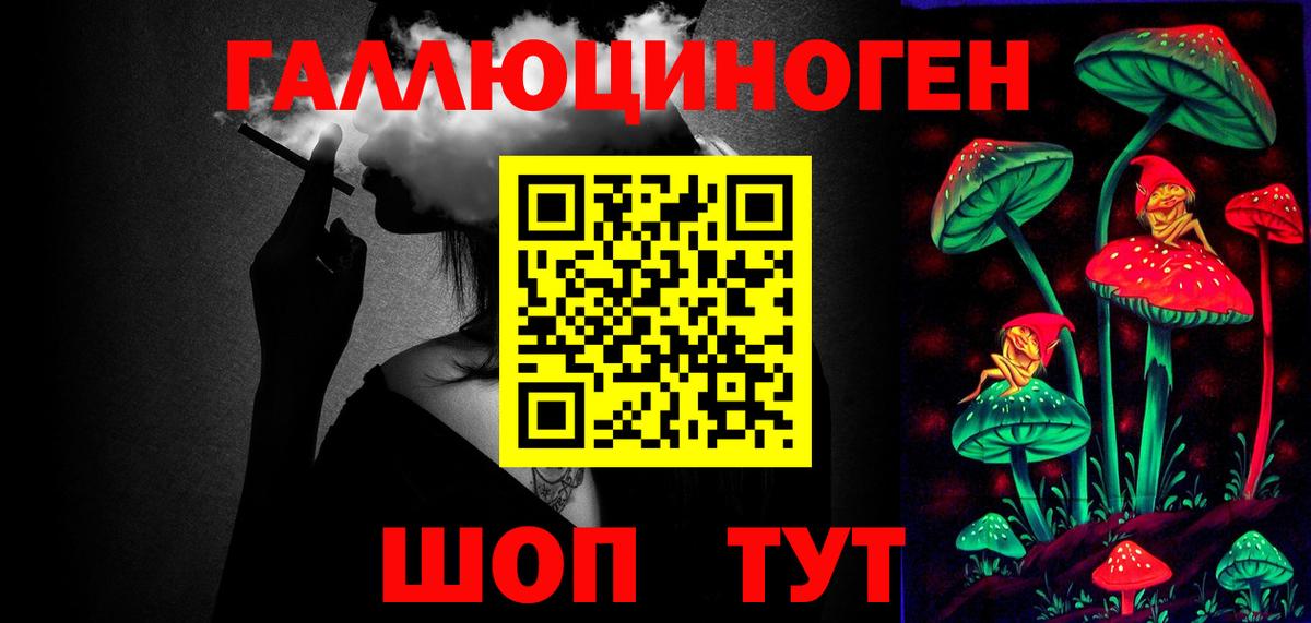 Электросталь  Псилоцибиновые грибы Psilocybine cubensis  Вход с VPN 